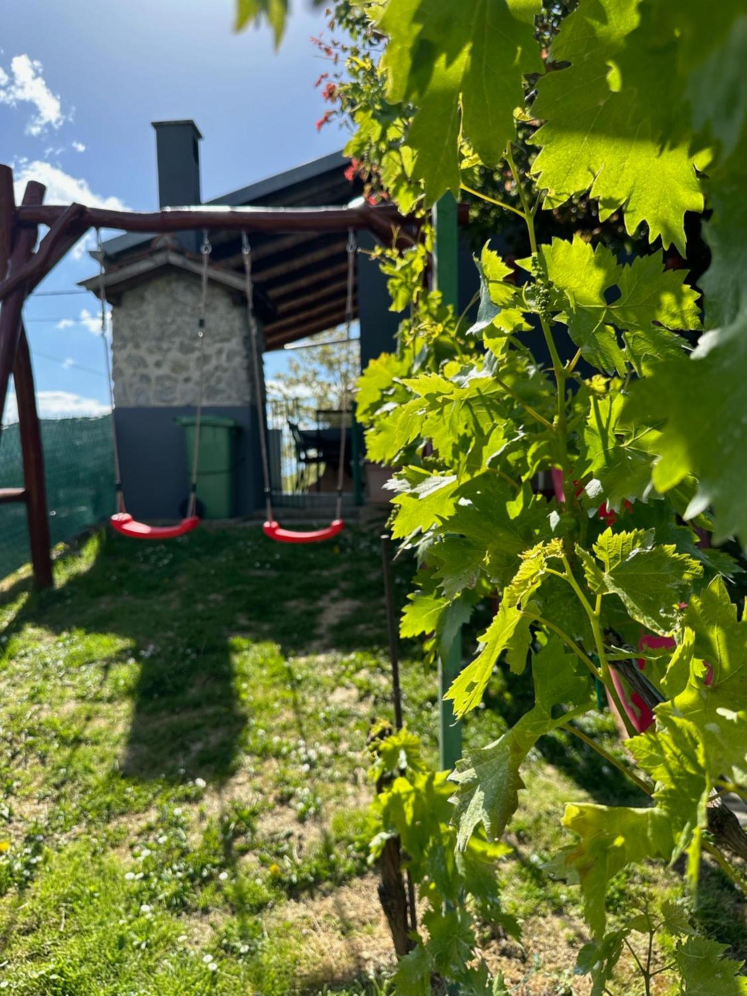 Kuca Za Odmor Mare Villa Sveti Martin Na Muri Buitenkant foto