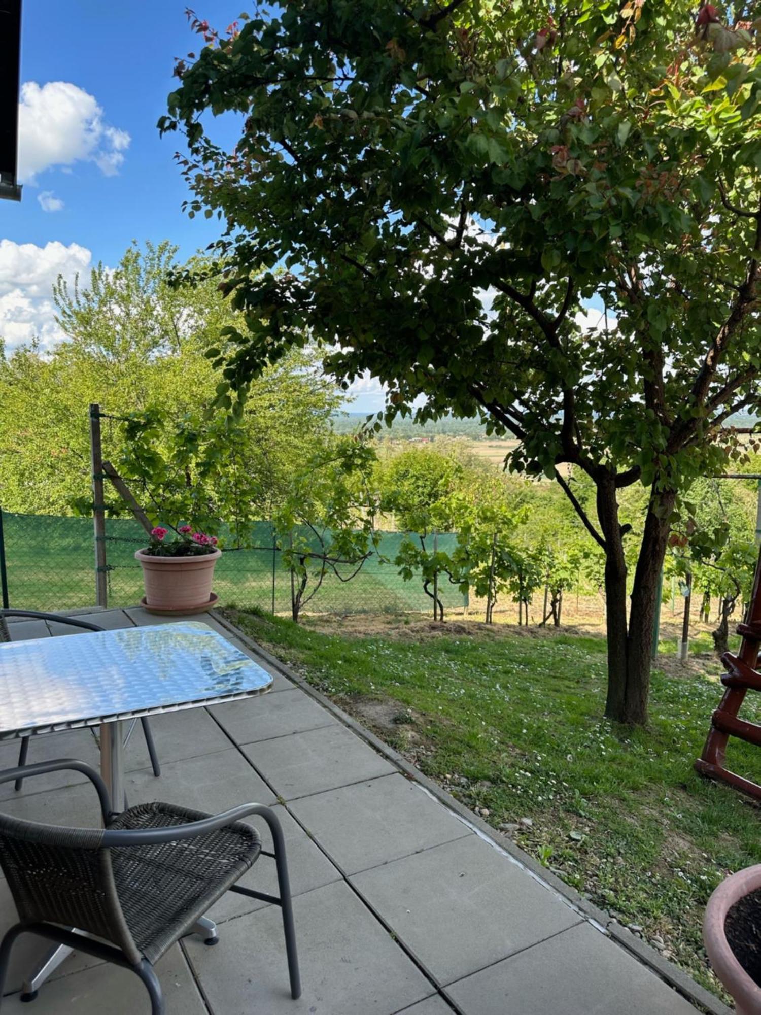 Kuca Za Odmor Mare Villa Sveti Martin Na Muri Buitenkant foto